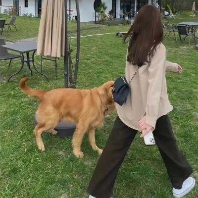 杜宾巡官：敌对姐妹 海报