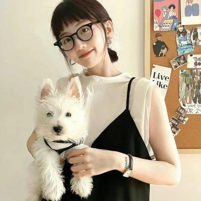 渔夫与森林 海报