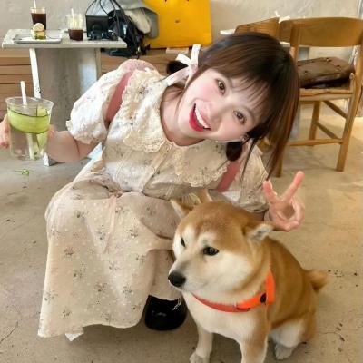 潜伏 海报